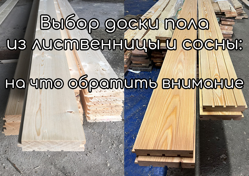 Выбор доски пола из лиственницы и сосны